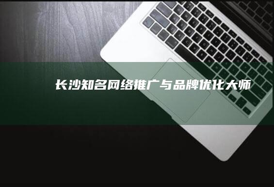 长沙知名网络推广与品牌优化大师